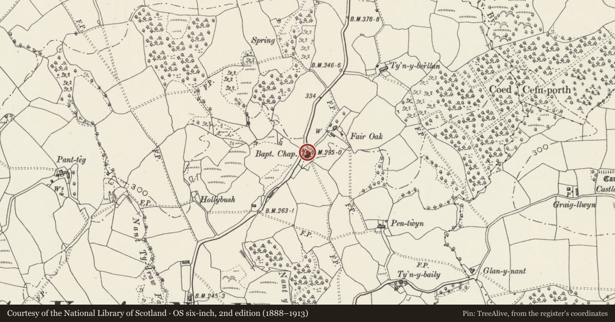 Ordnance Survey six-inch map, 2nd edition (1888–1913) covering the location of Lisvane Baptist Chapel, Cardiff, with a pin at the register's coordinates