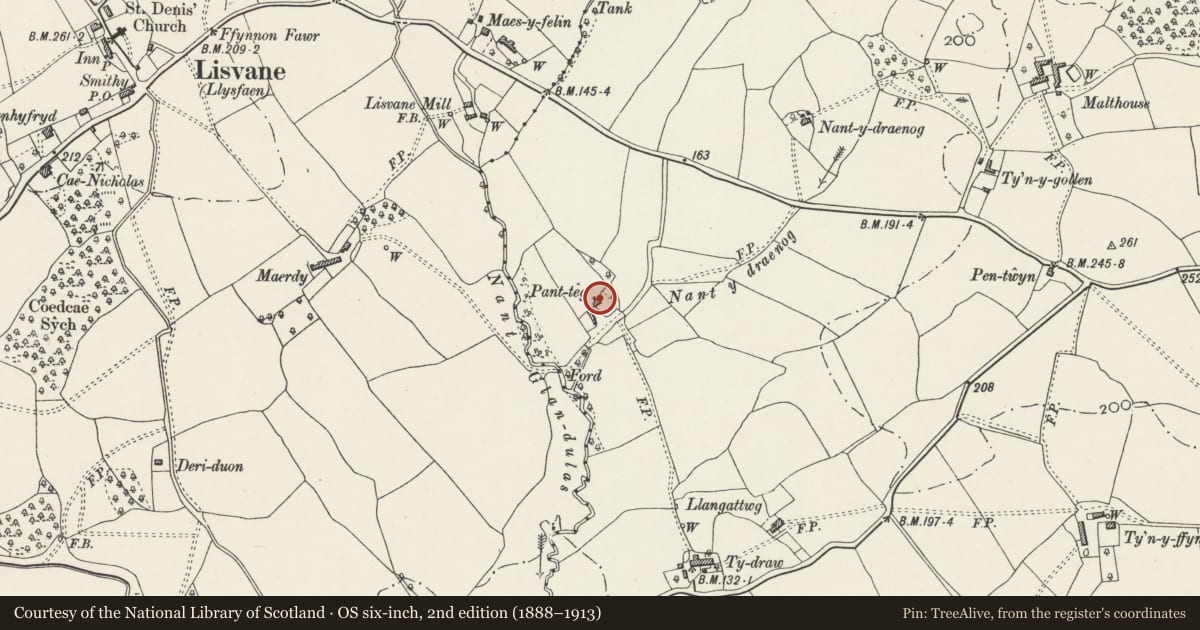 Ordnance Survey six-inch map, 2nd edition (1888–1913) covering the location of Pant-teg (aka Panteg), Pontprennau, Cardiff, with a pin at the register's coordinates