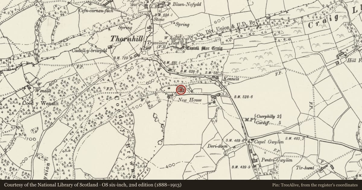 Ordnance Survey six-inch map, 2nd edition (1888–1913) covering the location of New House Hotel, Rhiwbina, Cardiff, with a pin at the register's coordinates