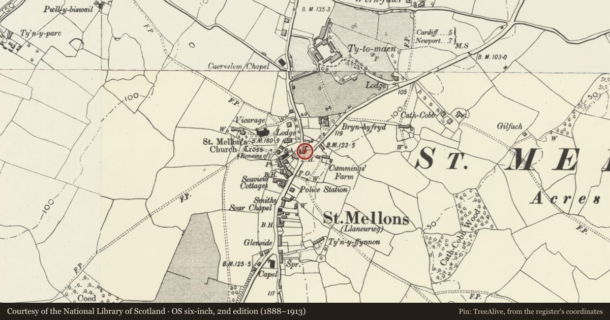 Ordnance Survey six-inch map, 2nd edition (1888–1913) covering the location of Bluebell Inn PH, Old St. Mellons, Cardiff, with a pin at the register's coordinates