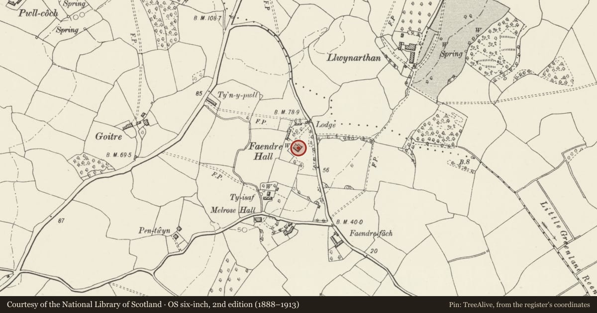 Ordnance Survey six-inch map, 2nd edition (1888–1913) covering the location of Faendre Hall, Trowbridge, Cardiff, with a pin at the register's coordinates