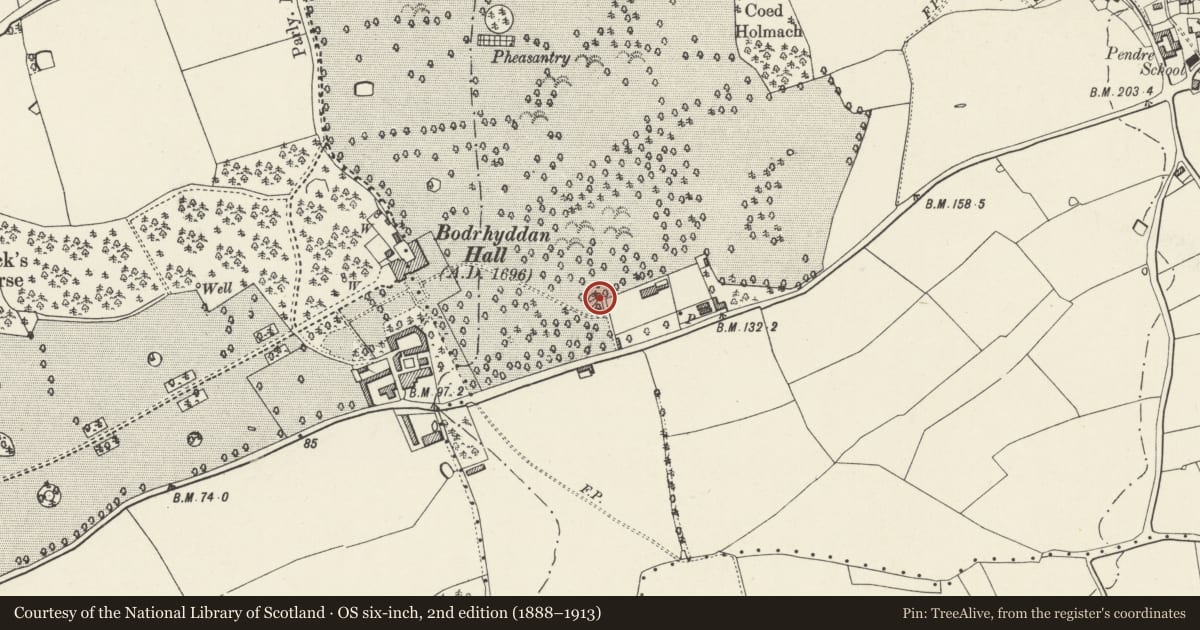 Ordnance Survey six-inch map, 2nd edition (1888–1913) covering the location of Ice-house of Bodrhyddan Hall, Dyserth, Denbighshire, with a pin at the register's coordinates