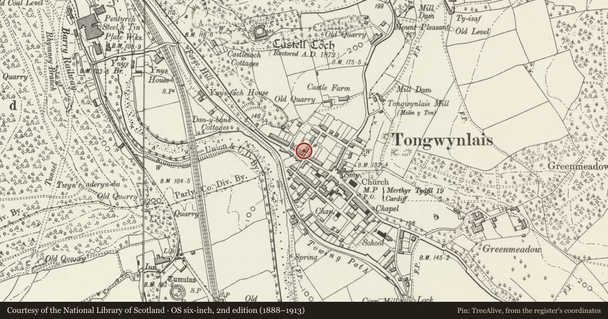 Ordnance Survey six-inch map, 2nd edition (1888–1913) covering the location of Nos 1-5 Wyndham Street (consec), Tongwynlais, Cardiff, with a pin at the register's coordinates
