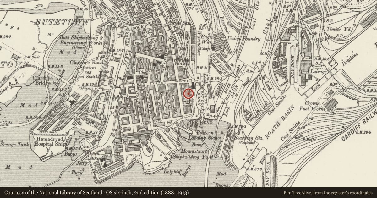 Ordnance Survey six-inch map, 2nd edition (1888–1913) covering the location of Dead End Saloon, Butetown, Cardiff, with a pin at the register's coordinates
