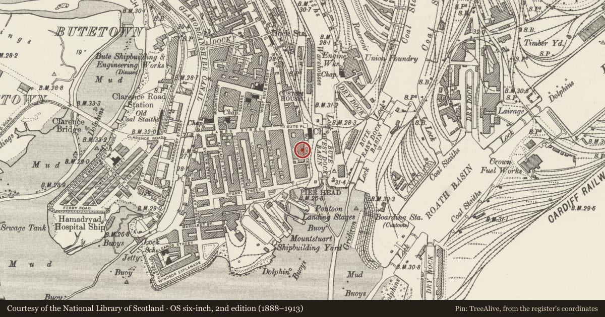 Ordnance Survey six-inch map, 2nd edition (1888–1913) covering the location of Eli Jenkins, Butetown, Cardiff, with a pin at the register's coordinates