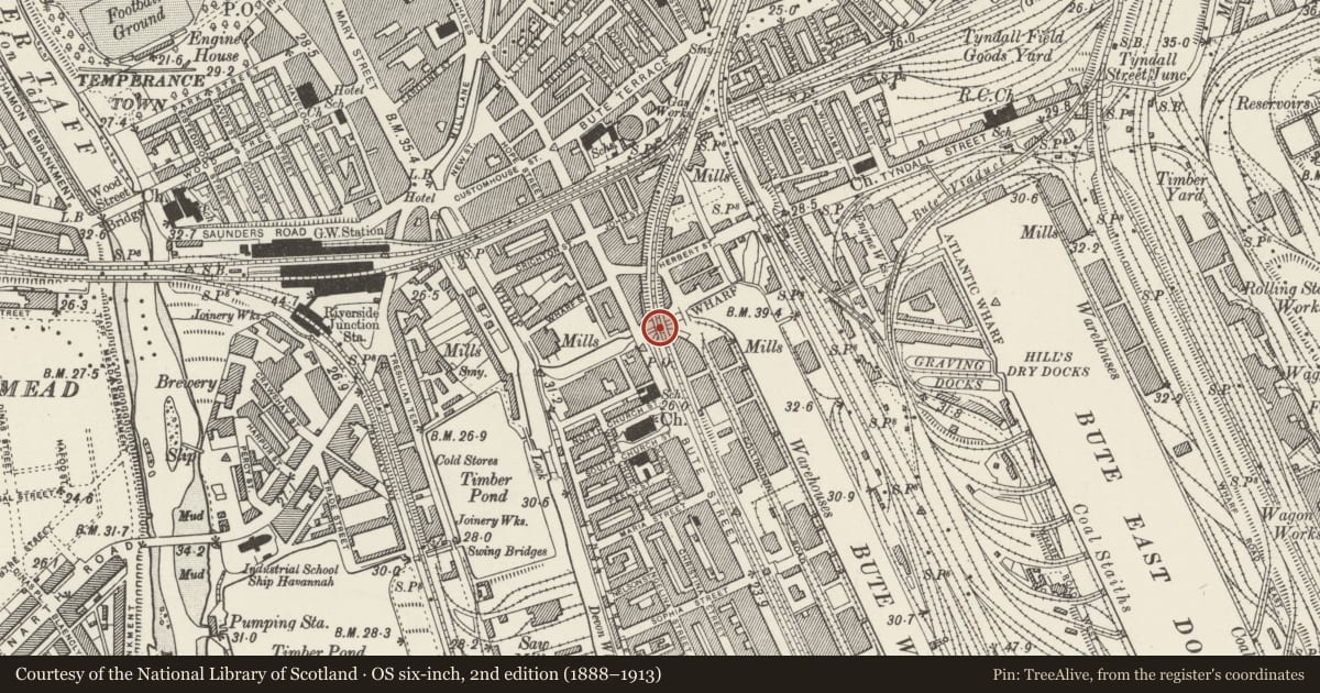 Ordnance Survey six-inch map, 2nd edition (1888–1913) covering the location of Railway Overbridge, Butetown, Cardiff, with a pin at the register's coordinates