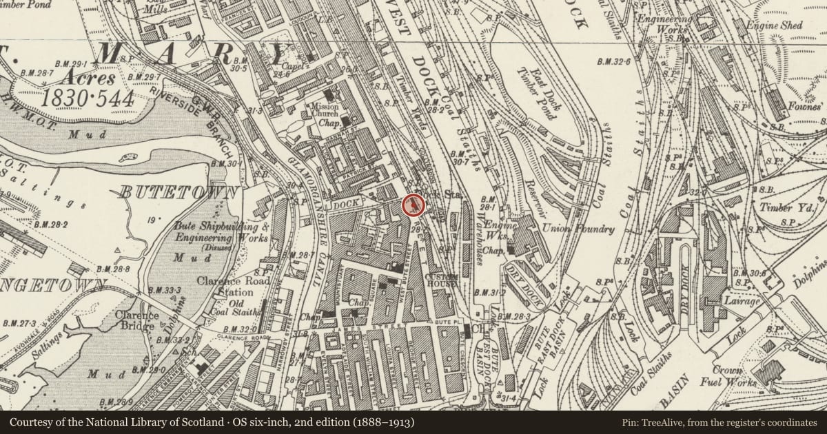 Ordnance Survey six-inch map, 2nd edition (1888–1913) covering the location of Cardiff Bay Station, Butetown, Cardiff, with a pin at the register's coordinates