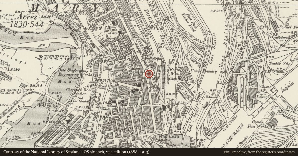 Ordnance Survey six-inch map, 2nd edition (1888–1913) covering the location of Pascoe House, Butetown, Cardiff, with a pin at the register's coordinates