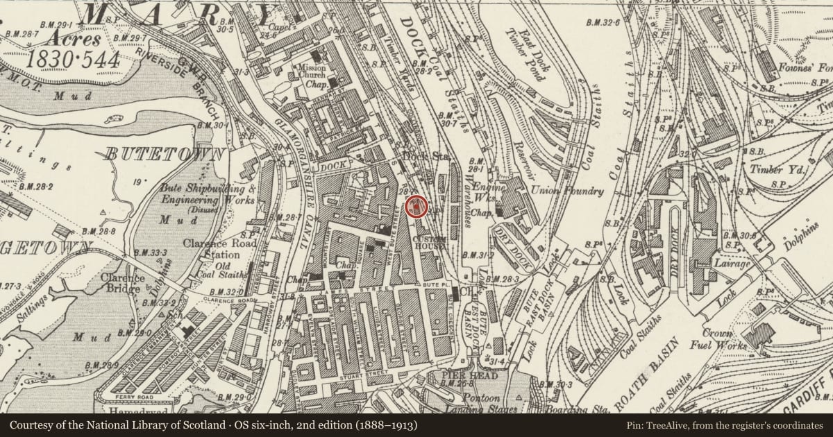 Ordnance Survey six-inch map, 2nd edition (1888–1913) covering the location of Meandros House, Butetown, Cardiff, with a pin at the register's coordinates