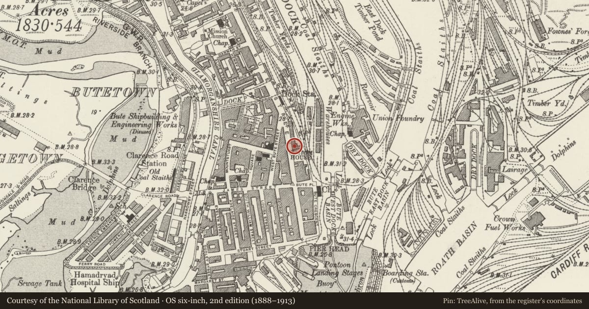 Ordnance Survey six-inch map, 2nd edition (1888–1913) covering the location of 5 Dock Chambers (Emlyn House), Butetown, Cardiff, with a pin at the register's coordinates