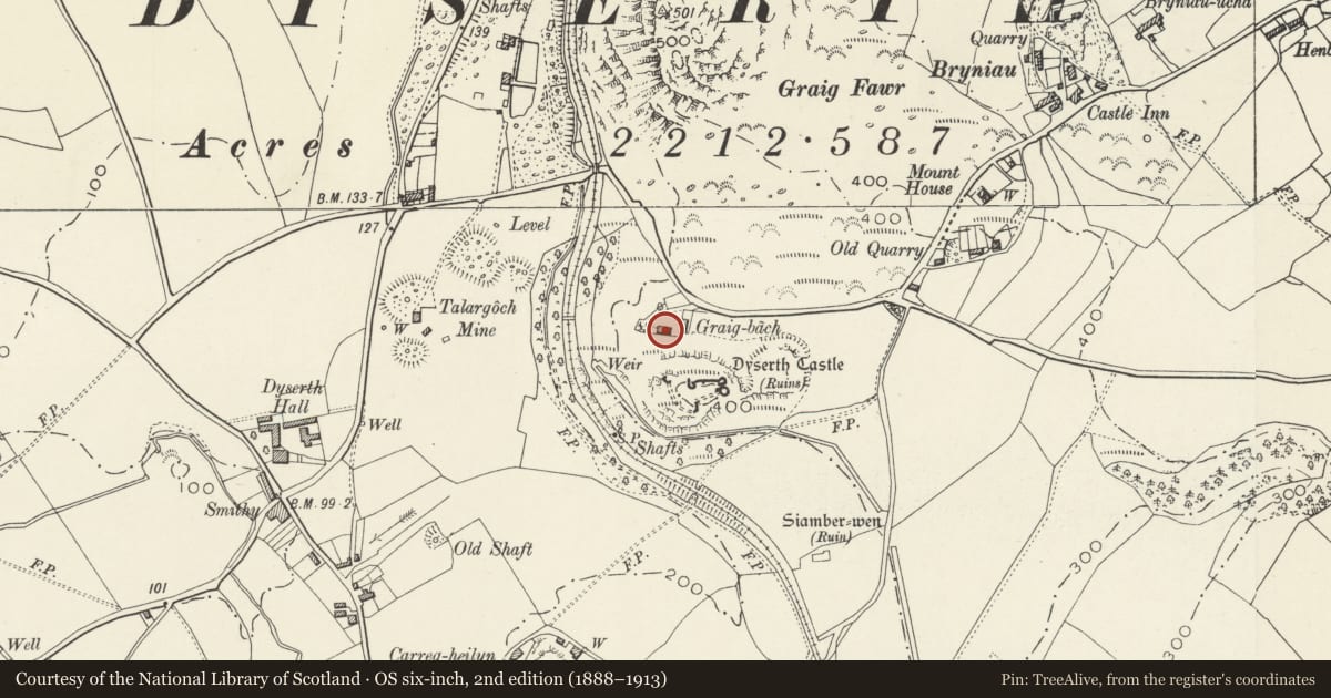 Ordnance Survey six-inch map, 2nd edition (1888–1913) covering the location of Craig-y-castell, Dyserth, Denbighshire, with a pin at the register's coordinates