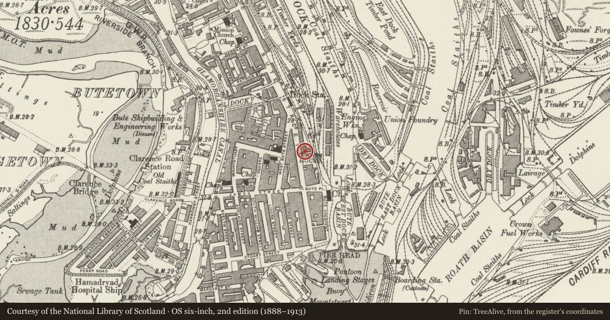Ordnance Survey six-inch map, 2nd edition (1888–1913) covering the location of Seaway House, Butetown, Cardiff, with a pin at the register's coordinates