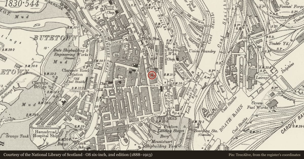 Ordnance Survey six-inch map, 2nd edition (1888–1913) covering the location of Former H.M.Immigration Office, Butetown, Cardiff, with a pin at the register's coordinates