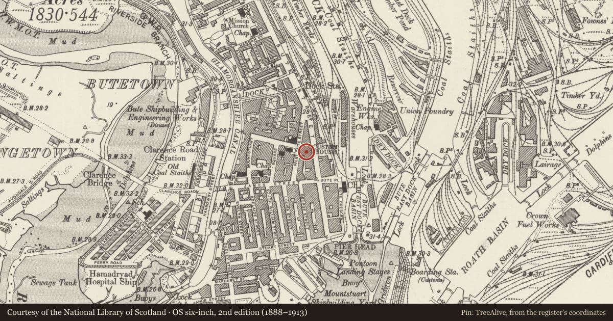 Ordnance Survey six-inch map, 2nd edition (1888–1913) covering the location of National Westminster Bank, Butetown, Cardiff, with a pin at the register's coordinates