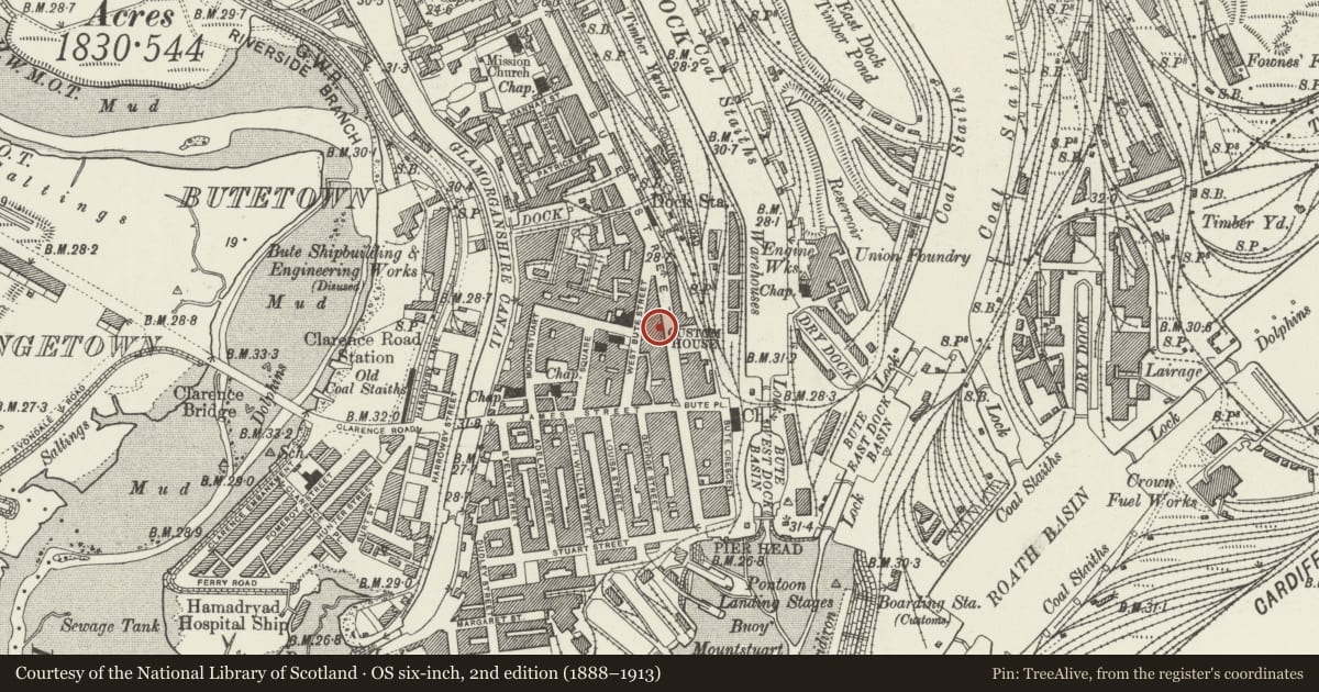 Ordnance Survey six-inch map, 2nd edition (1888–1913) covering the location of Baltimore Hotel, Butetown, Cardiff, with a pin at the register's coordinates