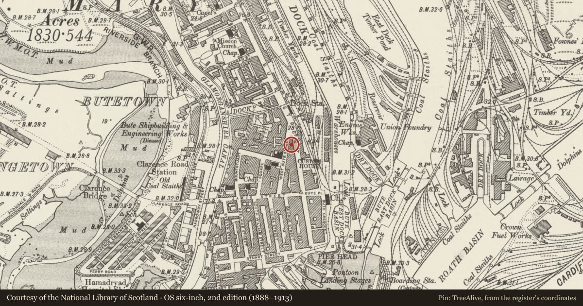 Ordnance Survey six-inch map, 2nd edition (1888–1913) covering the location of 123 Bute Street, Butetown, Cardiff, with a pin at the register's coordinates