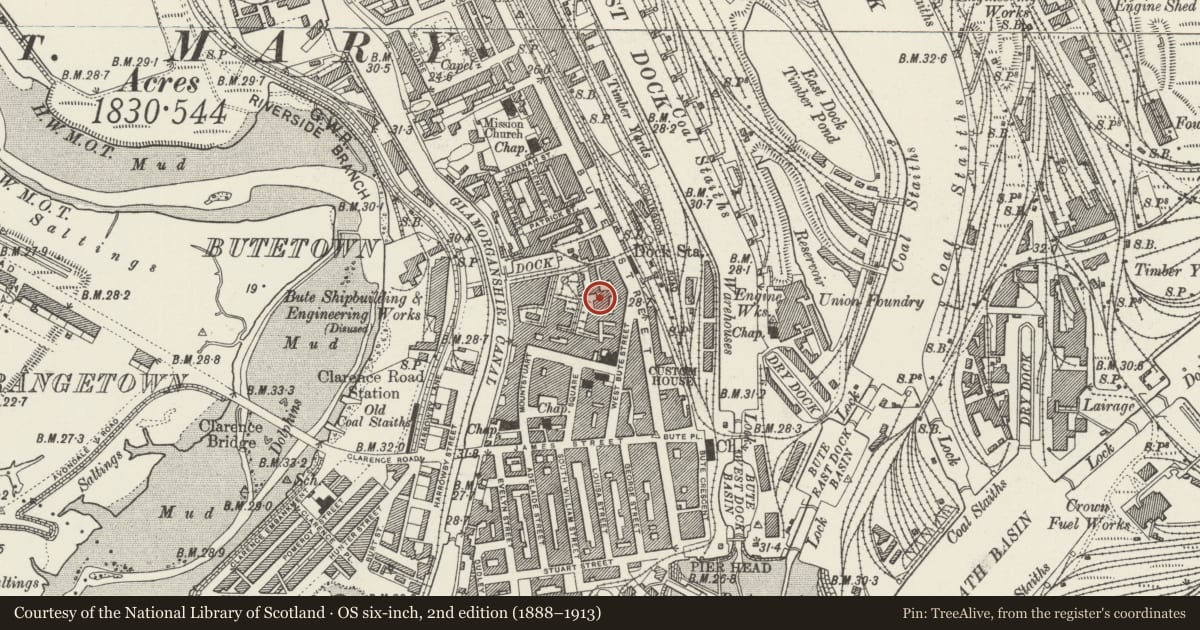 Ordnance Survey six-inch map, 2nd edition (1888–1913) covering the location of 126 Bute Street, Butetown, Cardiff, with a pin at the register's coordinates