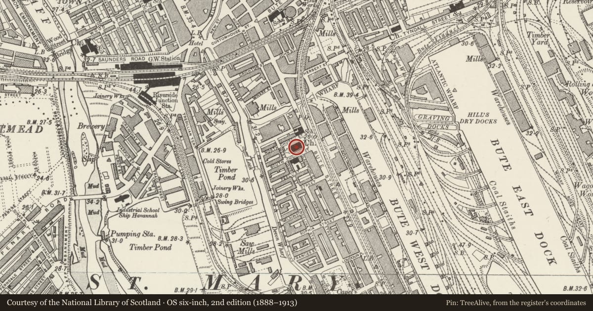 Ordnance Survey six-inch map, 2nd edition (1888–1913) covering the location of Parish Church of St Mary the Virgin and St Stephen the Martyr, including forecourt wall and railings, Butetown, Cardiff, with a pin at the register's coordinates