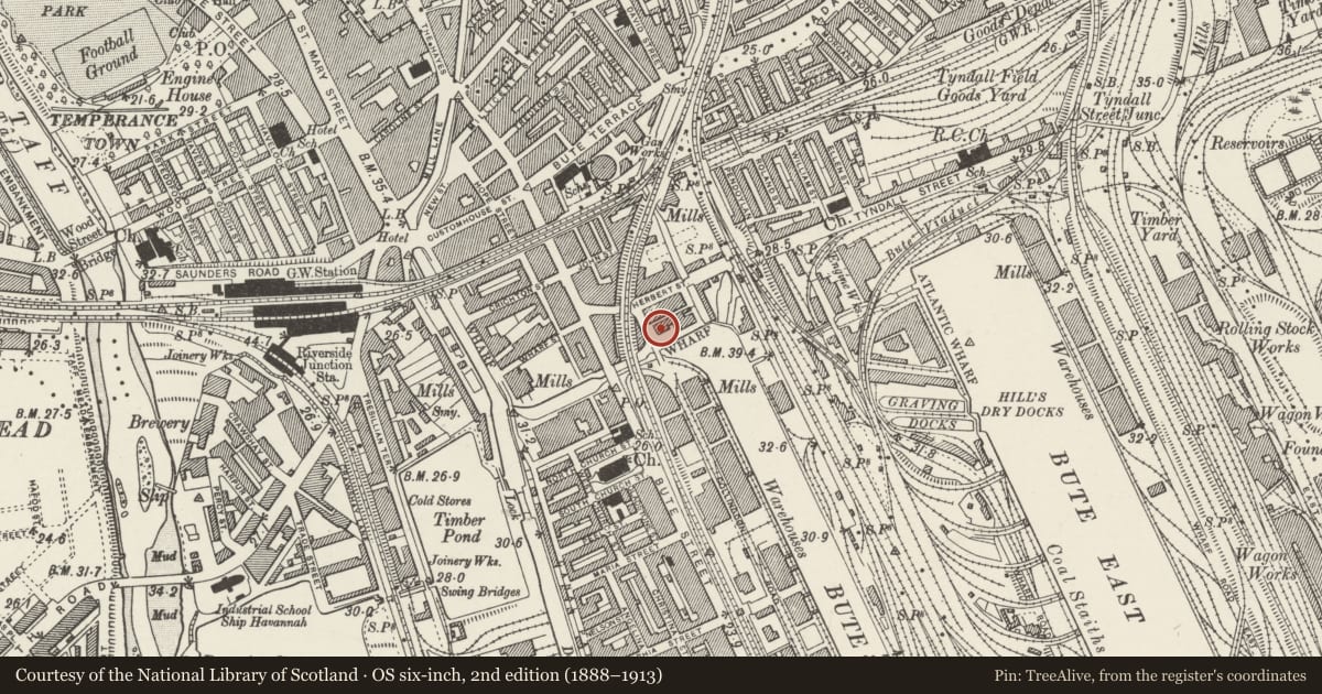 Ordnance Survey six-inch map, 2nd edition (1888–1913) covering the location of Warehouse on corner of Lloyd George Avenue and Herbert Street, Butetown, Cardiff, with a pin at the register's coordinates