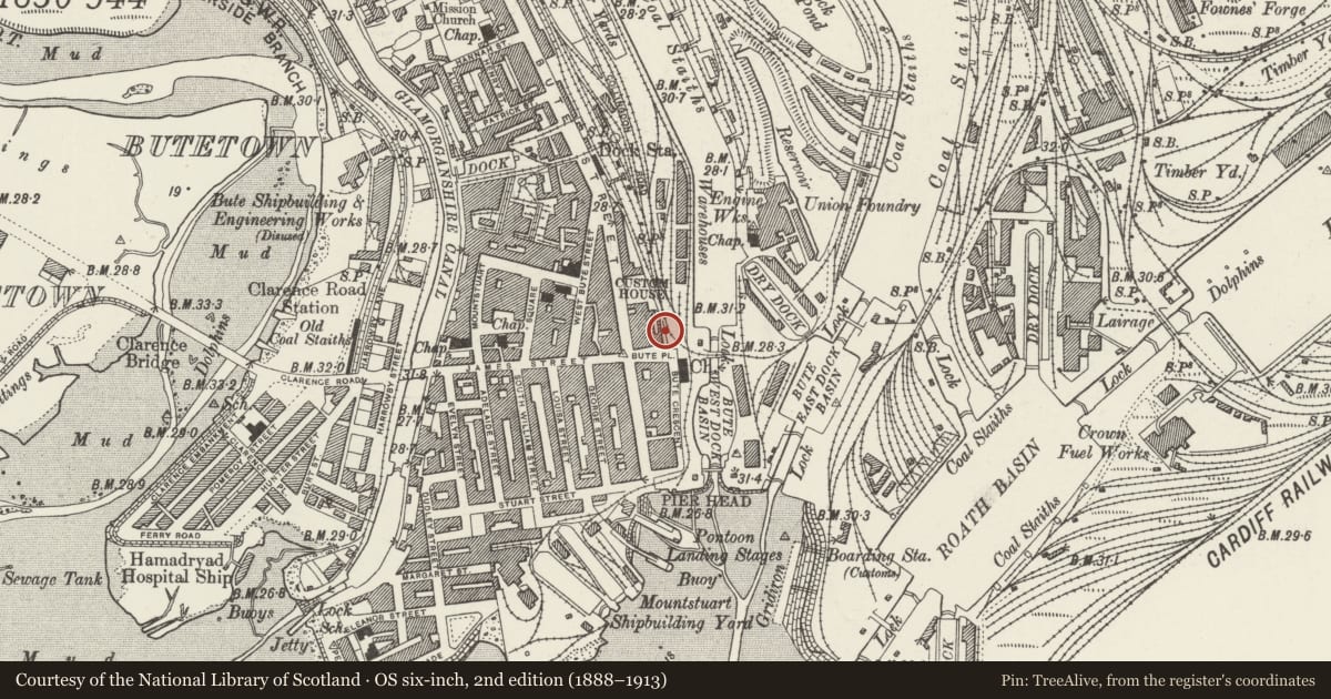 Ordnance Survey six-inch map, 2nd edition (1888–1913) covering the location of Cast Iron Posts and Railings to E of Dock Lane, Butetown, Cardiff, with a pin at the register's coordinates