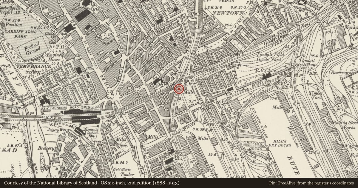 Ordnance Survey six-inch map, 2nd edition (1888–1913) covering the location of Railway Bridge over Dock Feeder, Butetown, Cardiff, with a pin at the register's coordinates