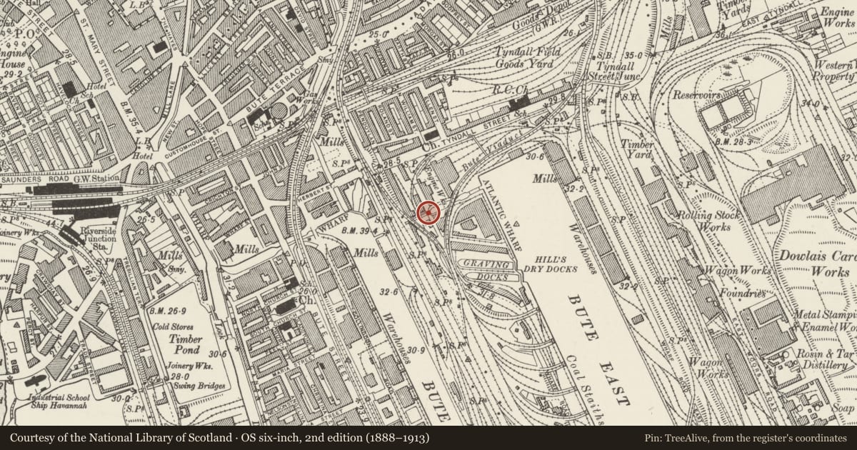 Ordnance Survey six-inch map, 2nd edition (1888–1913) covering the location of Bridge over Dock Feeder Canal, Butetown, Cardiff, with a pin at the register's coordinates