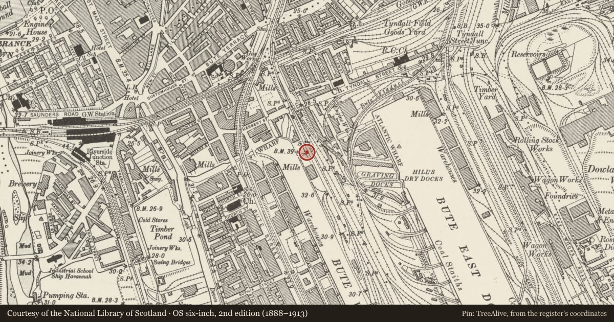 Ordnance Survey six-inch map, 2nd edition (1888–1913) covering the location of Bridge over Dock Feeder Canal, Butetown, Cardiff, with a pin at the register's coordinates