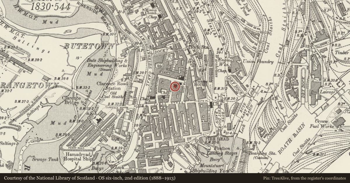 Ordnance Survey six-inch map, 2nd edition (1888–1913) covering the location of Phoenix Buildings, Butetown, Cardiff, with a pin at the register's coordinates