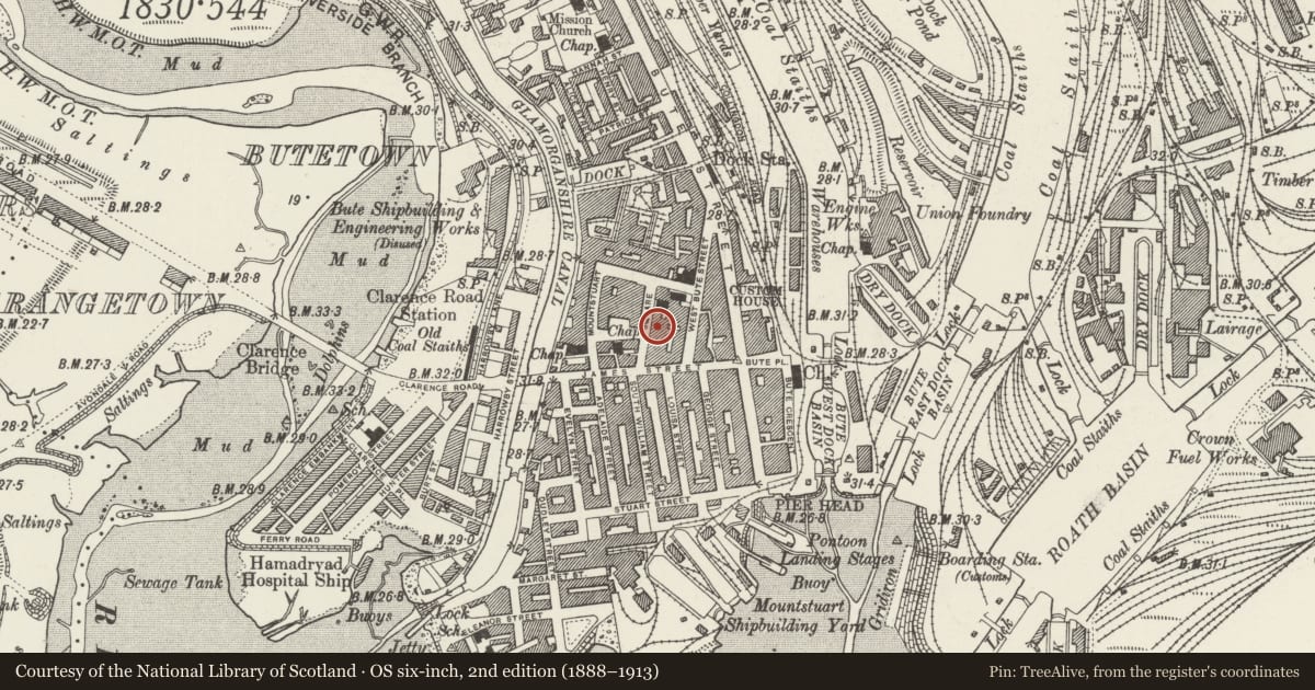 Ordnance Survey six-inch map, 2nd edition (1888–1913) covering the location of 7 Mount Stuart Square, Butetown, Cardiff, with a pin at the register's coordinates