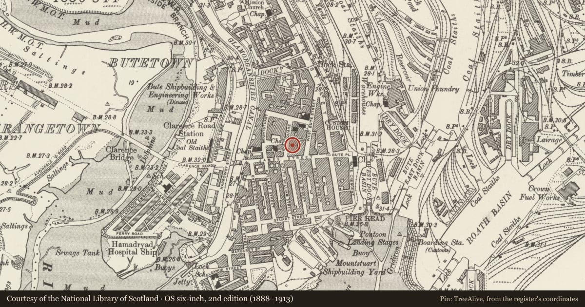 Ordnance Survey six-inch map, 2nd edition (1888–1913) covering the location of Kilsby and Williams, Butetown, Cardiff, with a pin at the register's coordinates