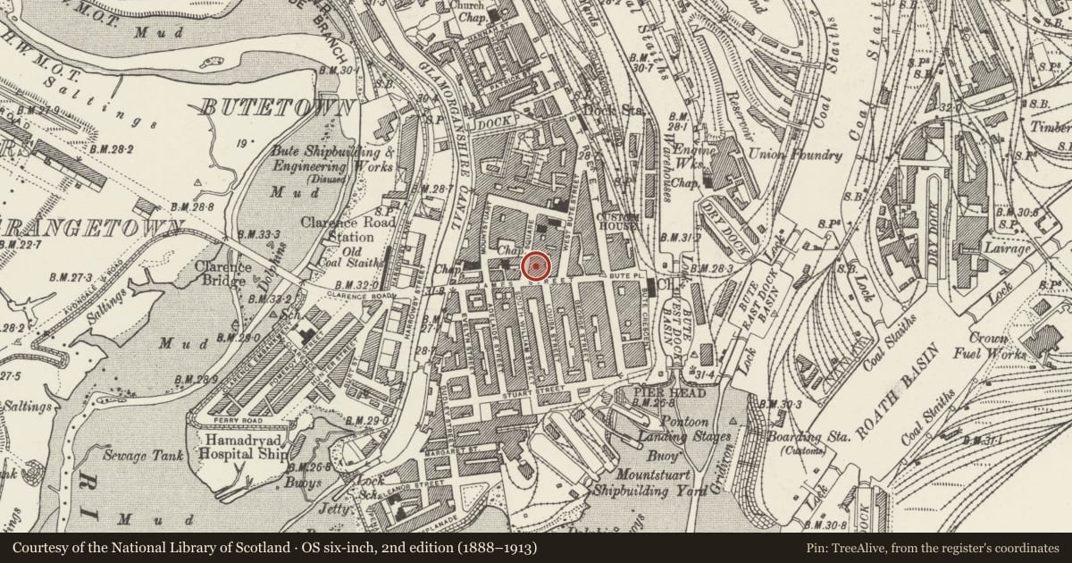 Ordnance Survey six-inch map, 2nd edition (1888–1913) covering the location of Crichton House, Butetown, Cardiff, with a pin at the register's coordinates