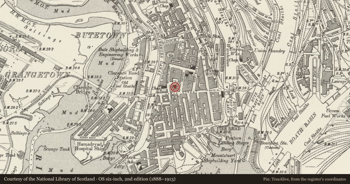 Ordnance Survey six-inch map, 2nd edition (1888–1913) covering the location of Baltic House, Butetown, Cardiff, with a pin at the register's coordinates