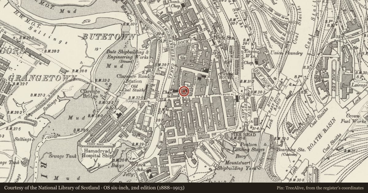 Ordnance Survey six-inch map, 2nd edition (1888–1913) covering the location of 20 Mount Stuart Square, Butetown, Cardiff, with a pin at the register's coordinates