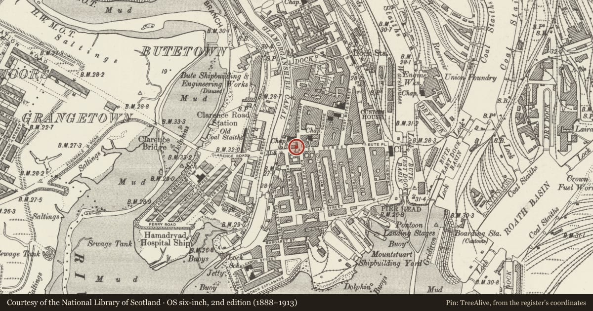 Ordnance Survey six-inch map, 2nd edition (1888–1913) covering the location of Mount Stuart House, Butetown, Cardiff, with a pin at the register's coordinates
