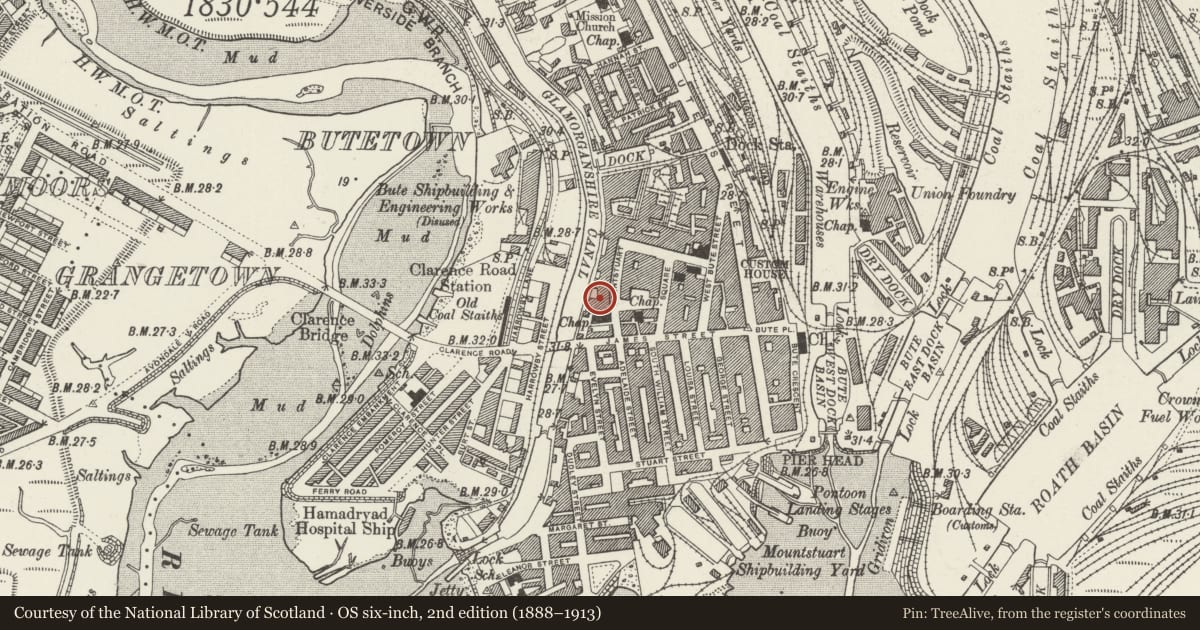 Ordnance Survey six-inch map, 2nd edition (1888–1913) covering the location of Aberdare House, Butetown, Cardiff, with a pin at the register's coordinates