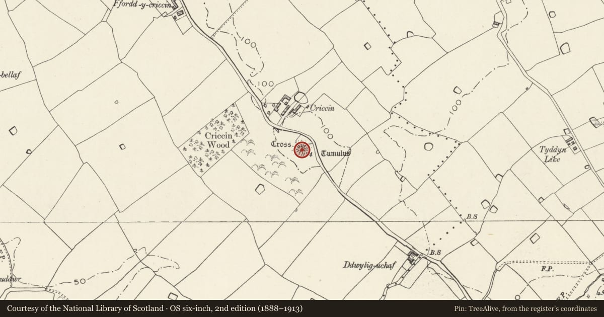 Ordnance Survey six-inch map, 2nd edition (1888–1913) covering the location of Criccin Cross, Rhuddlan, Denbighshire, with a pin at the register's coordinates