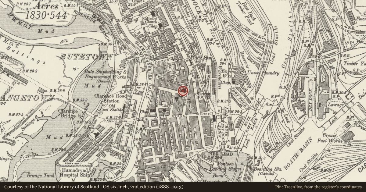 Ordnance Survey six-inch map, 2nd edition (1888–1913) covering the location of Cambrian Buildings, Butetown, Cardiff, with a pin at the register's coordinates