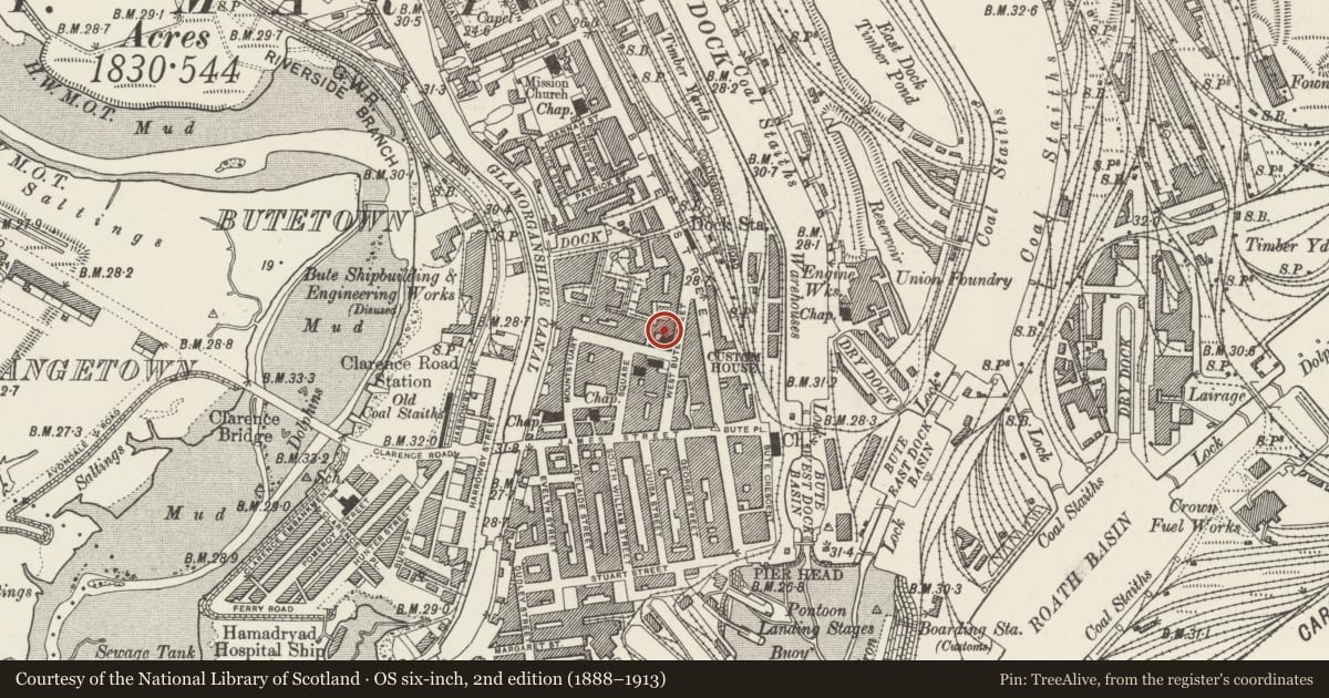 Ordnance Survey six-inch map, 2nd edition (1888–1913) covering the location of Cymric Buildings, Butetown, Cardiff, with a pin at the register's coordinates