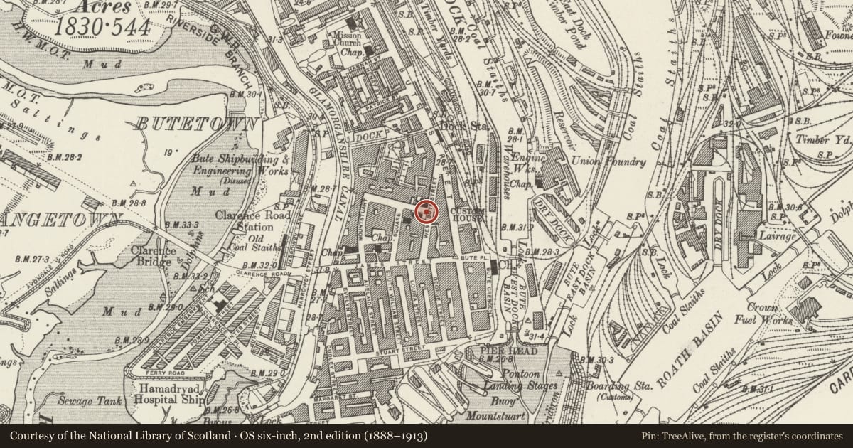 Ordnance Survey six-inch map, 2nd edition (1888–1913) covering the location of Pillar Box Outside Cambrian Buildings, Butetown, Cardiff, with a pin at the register's coordinates