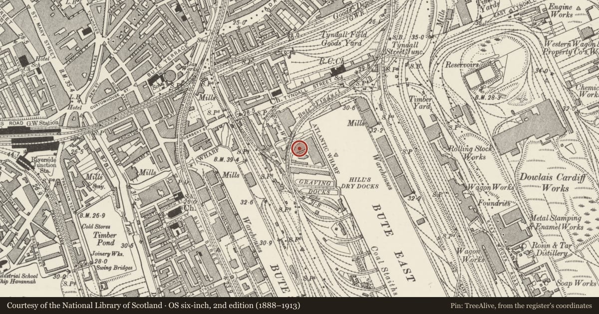 Ordnance Survey six-inch map, 2nd edition (1888–1913) covering the location of Spillers and Bakers, Butetown, Cardiff, with a pin at the register's coordinates