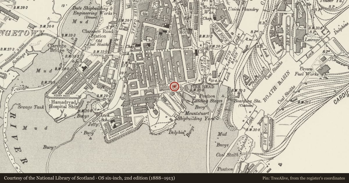 Ordnance Survey six-inch map, 2nd edition (1888–1913) covering the location of Scott's Brasserie (Former Pilotage Office)., Butetown, Cardiff, with a pin at the register's coordinates