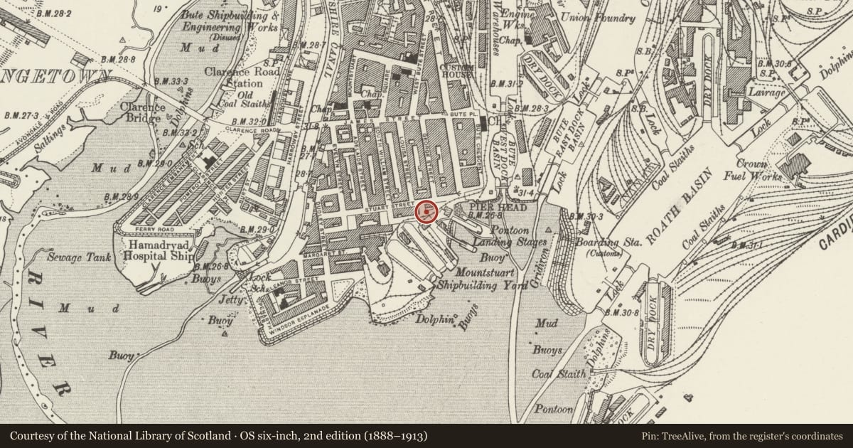 Ordnance Survey six-inch map, 2nd edition (1888–1913) covering the location of Railings & Gates behind Scott's Brasserie (Former Pilotage Office), Butetown, Cardiff, with a pin at the register's coordinates