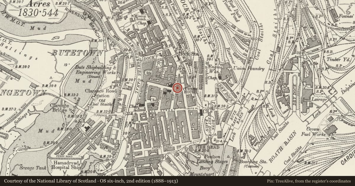 Ordnance Survey six-inch map, 2nd edition (1888–1913) covering the location of The Jug & Platter (Formerly The Bute Dock), Butetown, Cardiff, with a pin at the register's coordinates