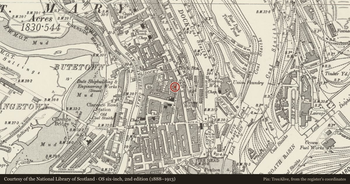 Ordnance Survey six-inch map, 2nd edition (1888–1913) covering the location of 33 West Bute Street, Butetown, Cardiff, with a pin at the register's coordinates