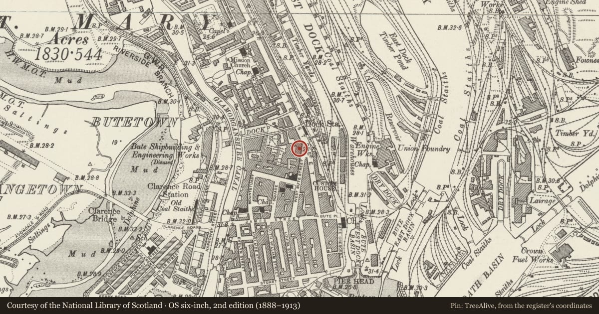 Ordnance Survey six-inch map, 2nd edition (1888–1913) covering the location of 36 & 37, Butetown, Cardiff, with a pin at the register's coordinates