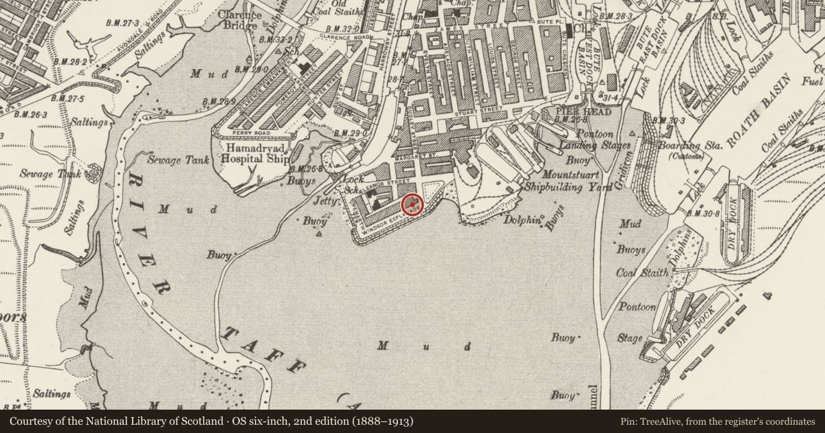 Ordnance Survey six-inch map, 2nd edition (1888–1913) covering the location of 2 Windsor Esplanade, Butetown, Cardiff, with a pin at the register's coordinates
