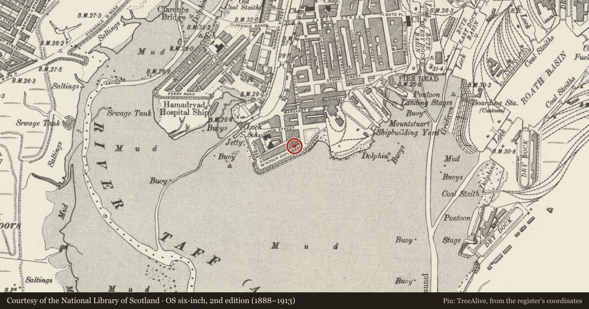 Ordnance Survey six-inch map, 2nd edition (1888–1913) covering the location of 3 Windsor Esplanade, Butetown, Cardiff, with a pin at the register's coordinates