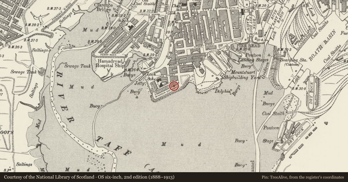 Ordnance Survey six-inch map, 2nd edition (1888–1913) covering the location of 4 Windsor Esplanade, Butetown, Cardiff, with a pin at the register's coordinates