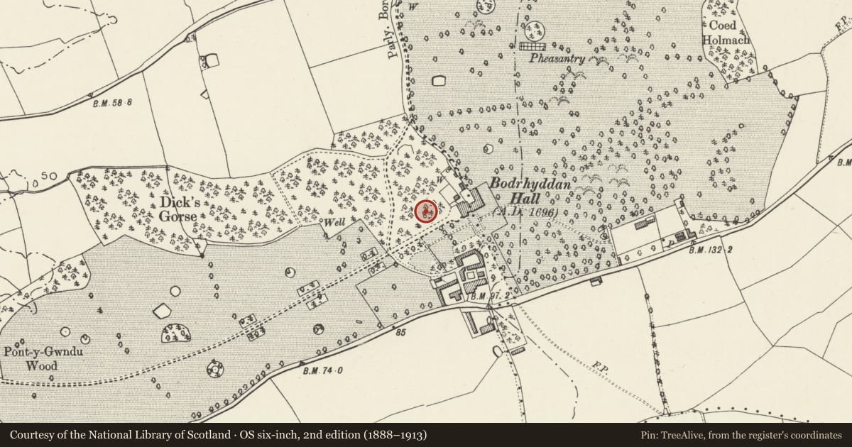 Ordnance Survey six-inch map, 2nd edition (1888–1913) covering the location of Saint Mary's Well, Rhuddlan, Denbighshire, with a pin at the register's coordinates