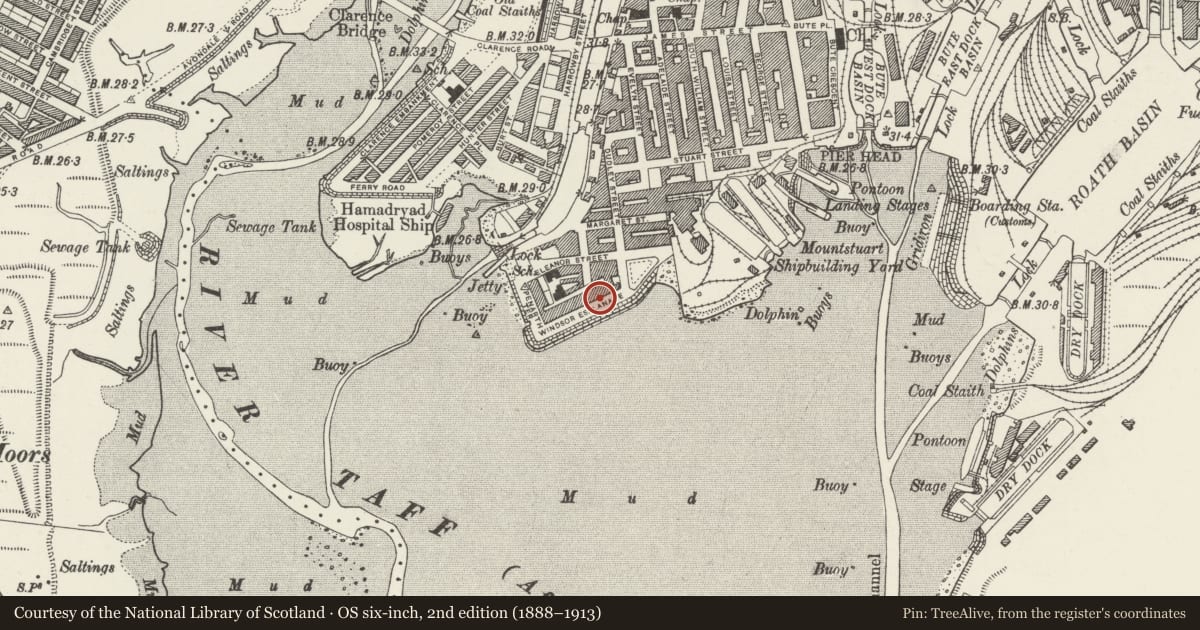 Ordnance Survey six-inch map, 2nd edition (1888–1913) covering the location of 5 Windsor Esplanade, Butetown, Cardiff, with a pin at the register's coordinates